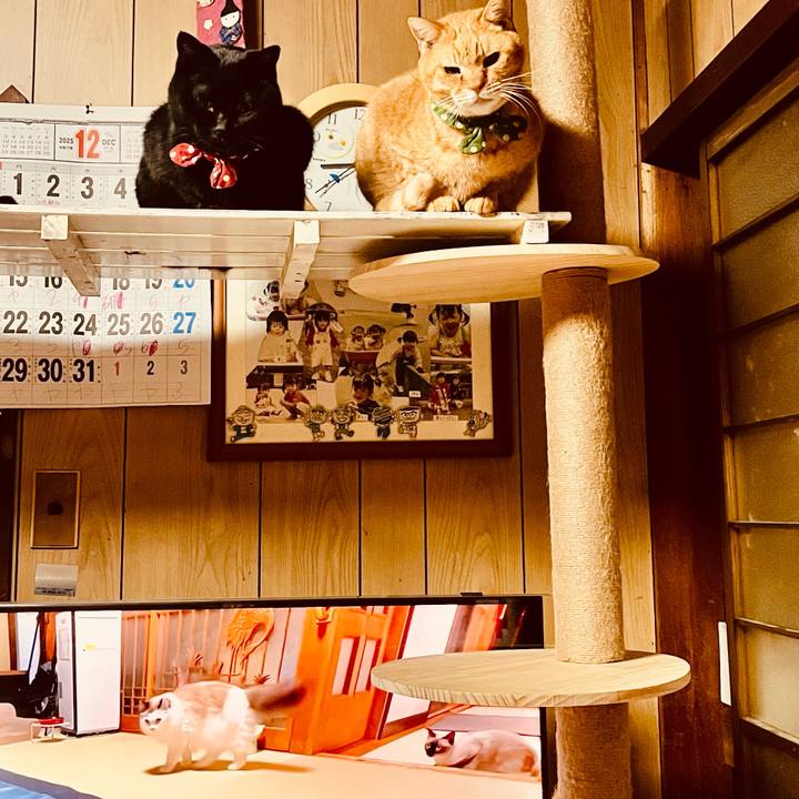 3b3d249f 9f90 402e 921c 9743d9dd836b 1764679132054