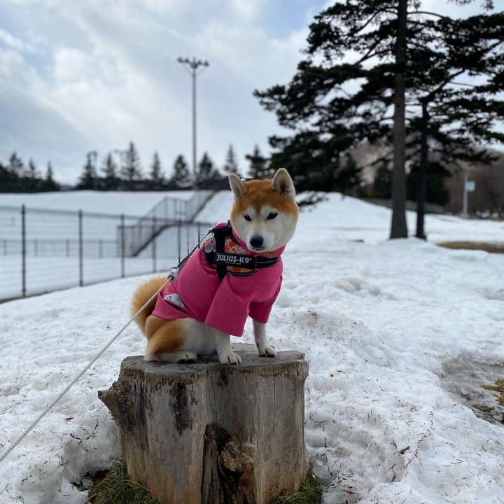 3b3d3015 731a 4388 8cee e070845d2b60 1616381152042