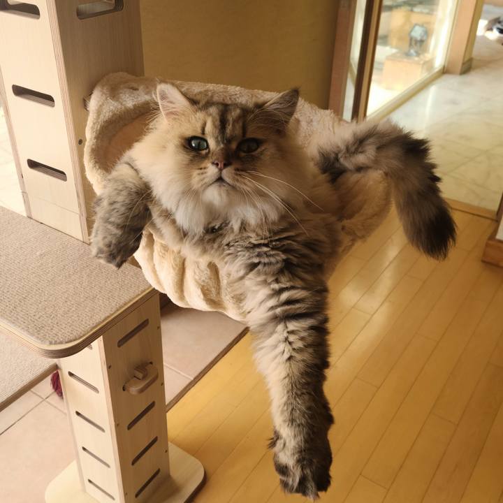 3b3d69ee bb6b 46b1 9470 f847454c9d61 1631670036527