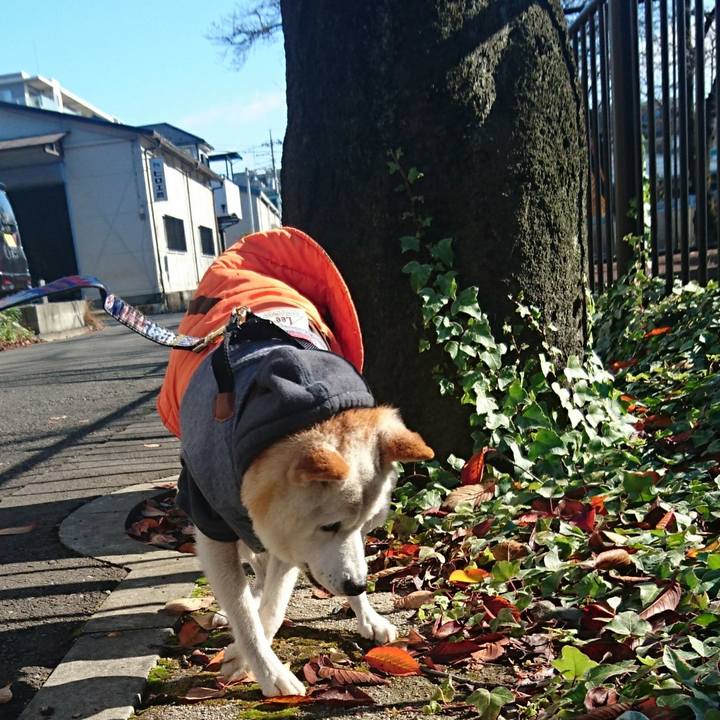 3b3d7a1d df3d 4b14 9531 bd1b79d9b74e 1512184989317