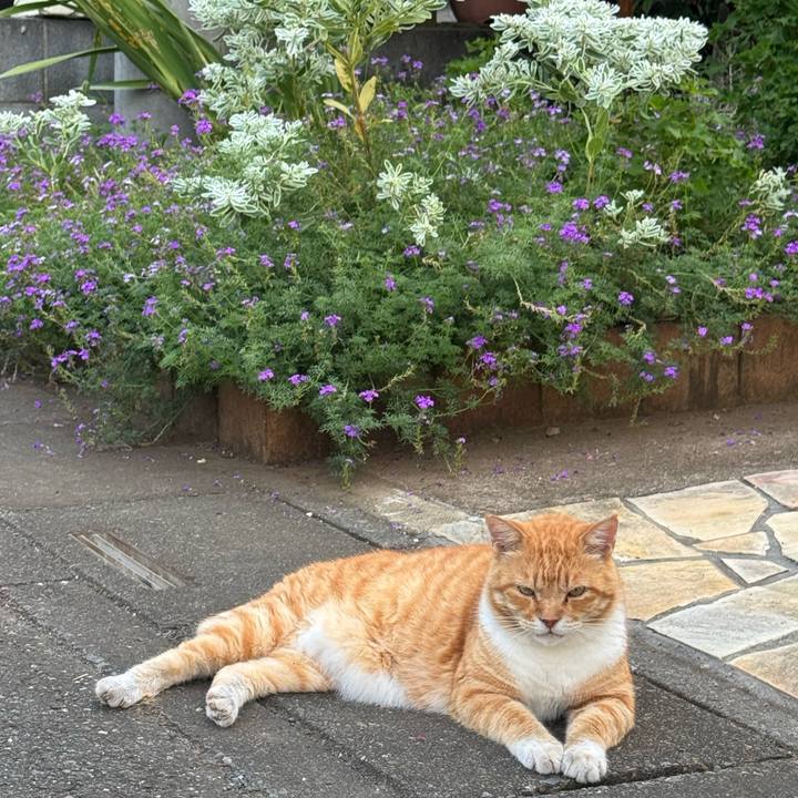 3b3d9a43 e87e 4a0d bbf8 b0f3a1ad71d3 1755812874156