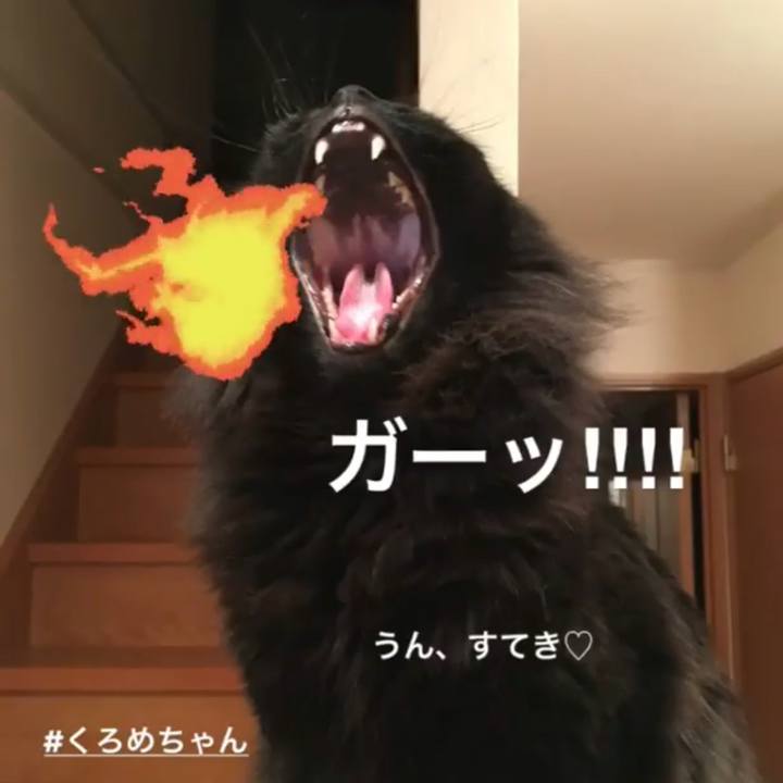 3b3ddb40 e901 4919 b12a 2b91bfc85f98 1550014465877