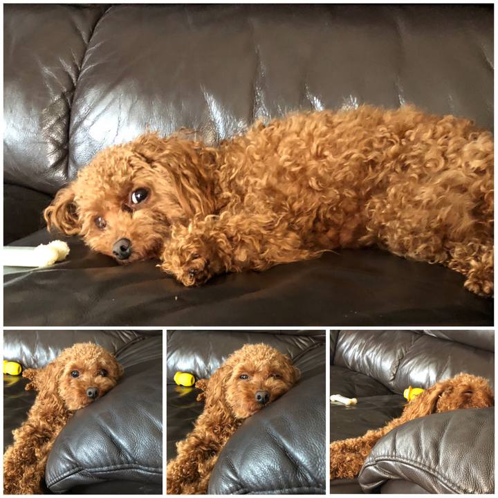 3b3de80a 2c4f 4d28 92ca dbd8241fcd88 1525327478784