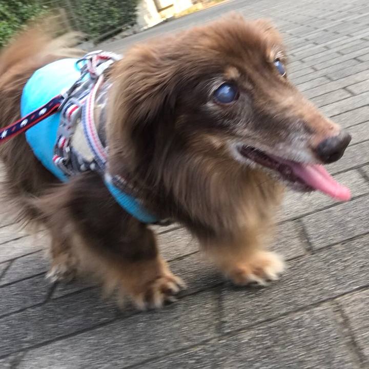 3b3e1a00 31ba 45aa ae39 b6b9568208c0 1533249074014