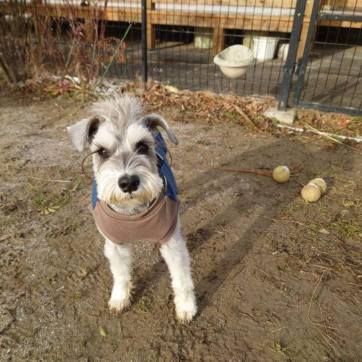 3b3e9085 8a43 4a37 90f8 896a61386815 1767237058080