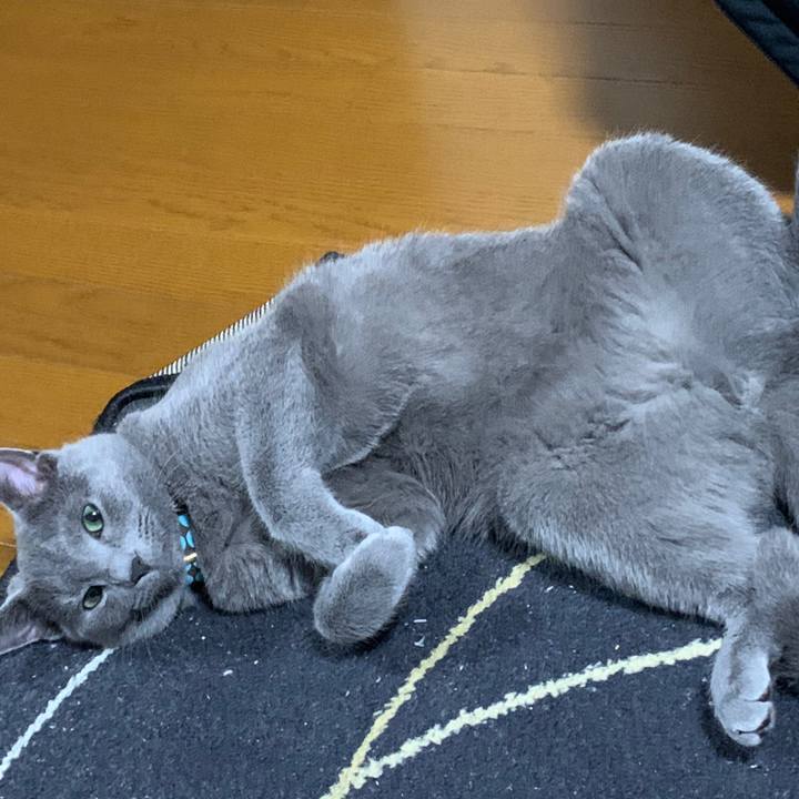 3b3eb182 a53c 4d96 a5c7 ca49270c0588 1583816256092