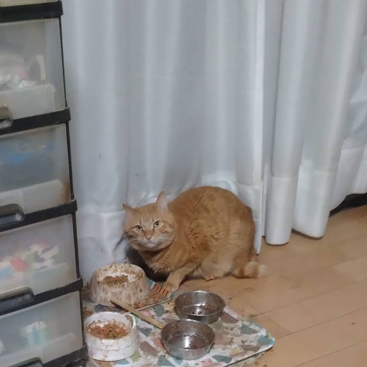 3b3ed38f eea4 403e 942b 40936c302992 1708640823236