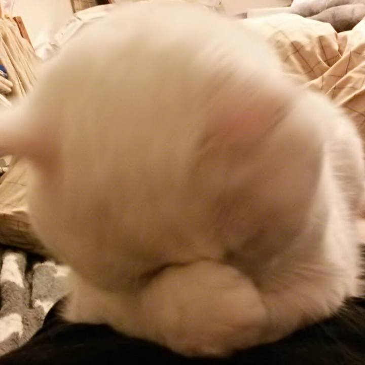 3b3ed83b 0e98 4744 be48 c3e6937a1259 1525427099288