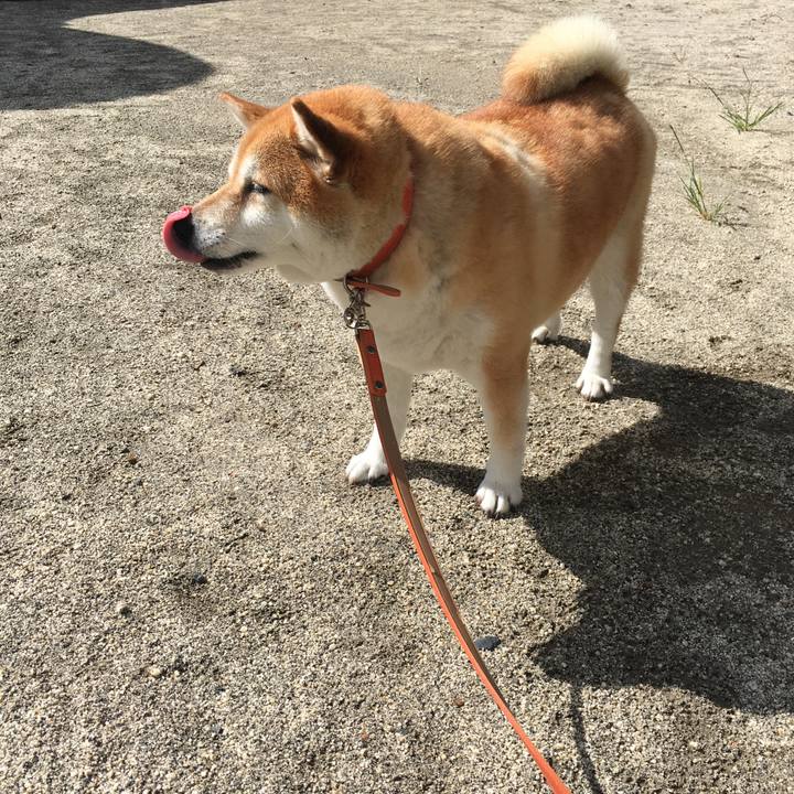 3b3edeb3 de55 411a acb4 74536b57af19 1600130286334