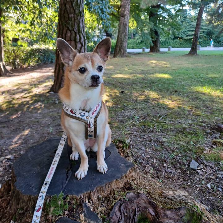 3b3eef01 f94b 4583 8969 7b9e5ff92e66 1760391877101