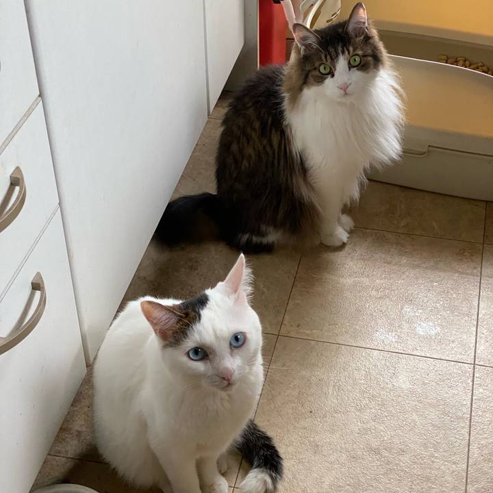 3b3f475d b12d 4e58 bc68 9d01e7cfe209 1688780970399