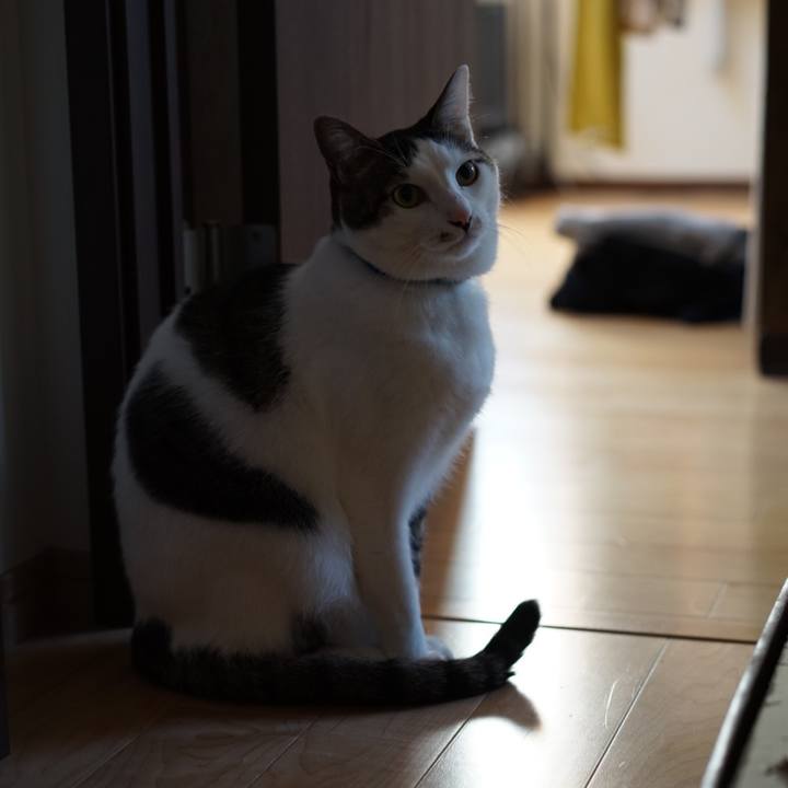 3b3f55cb 9a65 4d92 8d03 b28006743444 1554160162235