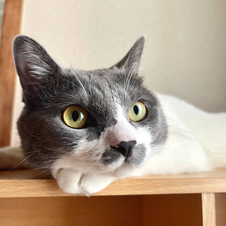 3b3faf9e 3cd5 4855 a396 5b74a38c7796 1658823829333