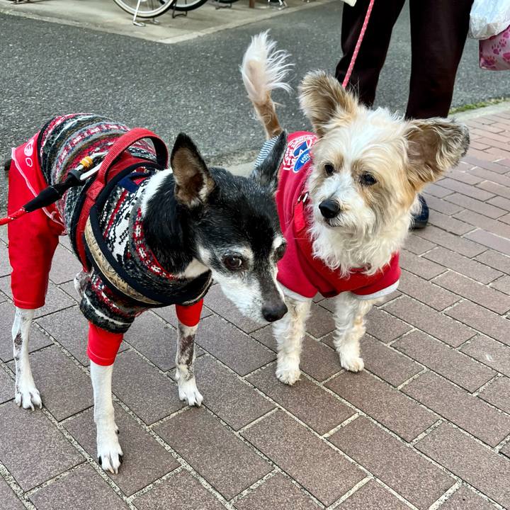 3b3fb3dc 48fd 4432 9afa 7e71901c86d4 1647047295734