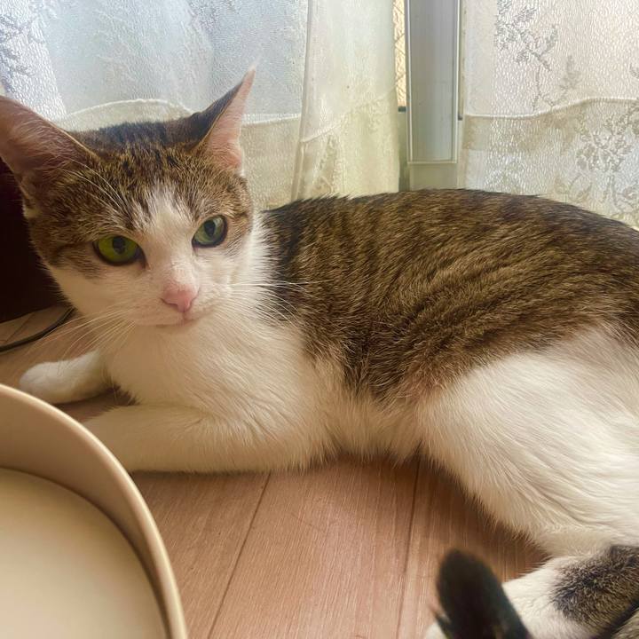 3b3fb5d2 c199 4617 91f9 f7db9d510937 1633297494837