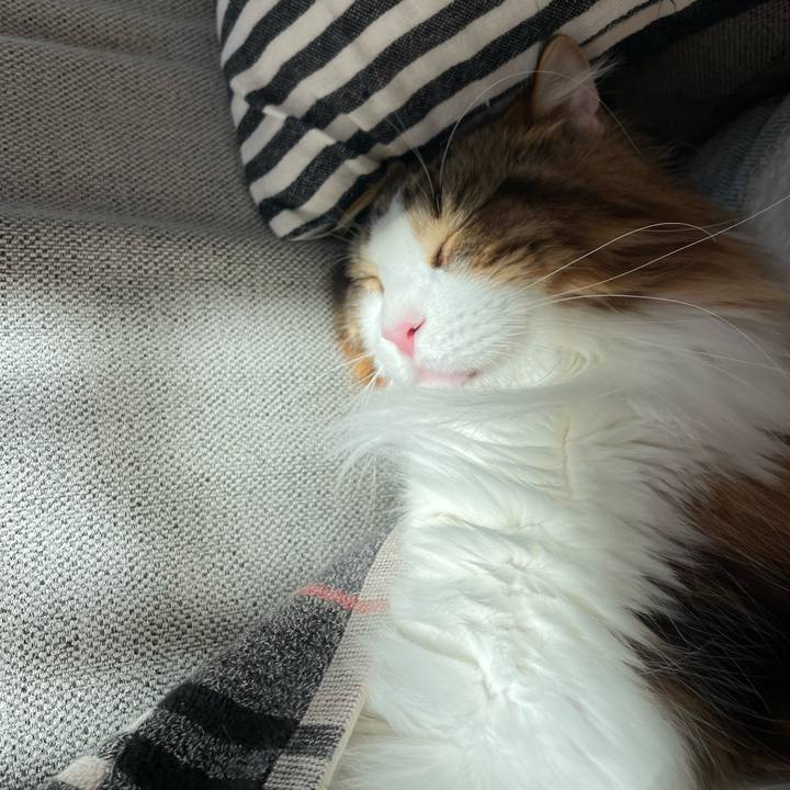 3b3fdc55 71a0 4752 9a5f 570bbd5c35f5 1667609729970