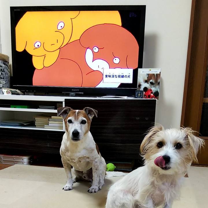 3b400fe6 0866 44e6 94ec 066b3ebf6642 1550442155223