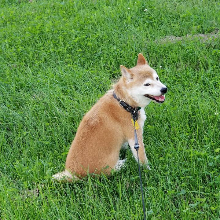 3b401925 270a 4cc1 89b7 681a8e6ce285 1596098080236