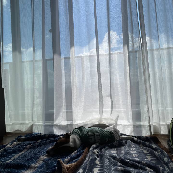 3b407d6c 5bba 4dc8 b98b 5e7e5824c4fa 1654730798164