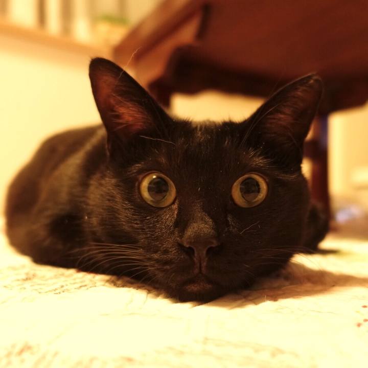 3b408c6b e234 4002 8c82 4a41f82e7bf3 1541075022233