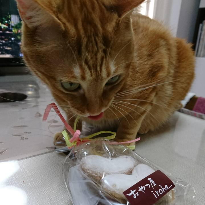 3b40bc29 b20e 4581 92f9 1538425dd587 1516430453745