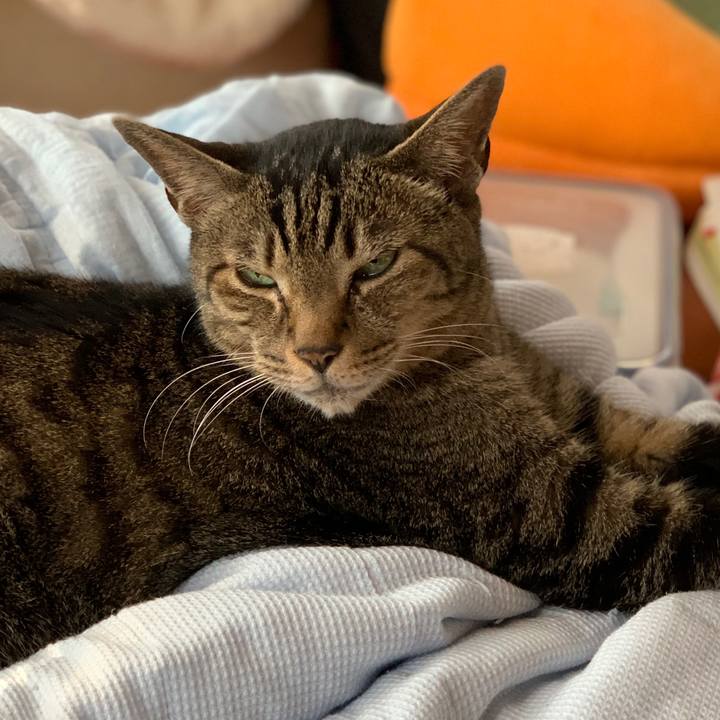 3b40c04f 4fe7 483d a4e0 e3db74e441d6 1561161349013