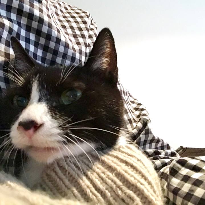 3b40de2e f90e 42d9 aad8 a1e53657b787 1548934834957