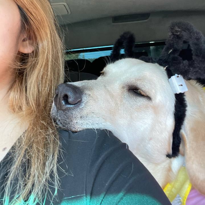 3b41180c 869c 4c05 8098 70e38828d333 1633521343706