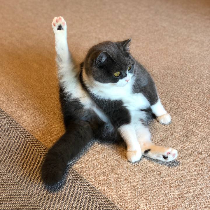 3b413b5b 386d 45bc 8711 c7edf018d824 1557545445839