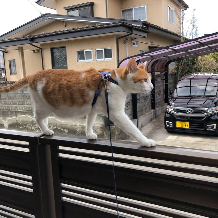 3b414405 72c1 435b ab99 bfd462fe1ceb 1552791942982