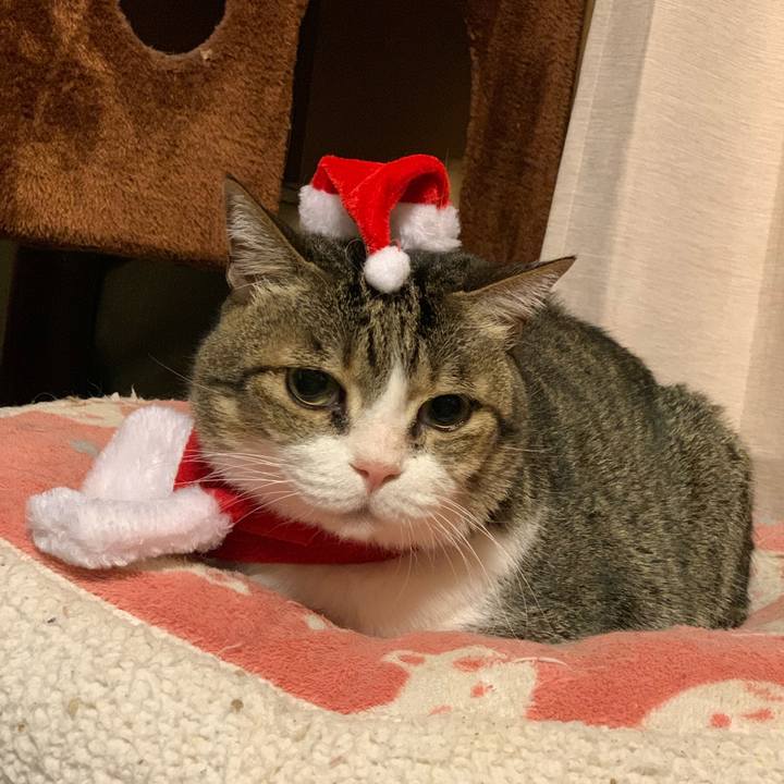 3b41441b d446 485d 9c3e ac205a6d741f 1672143135755