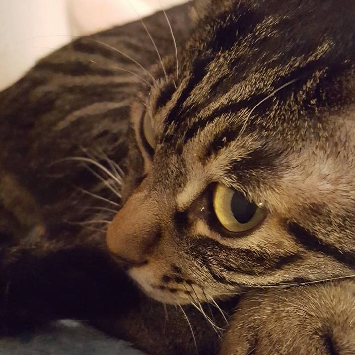 3b414ae8 fd20 4f26 9632 677459175841 1513078445362