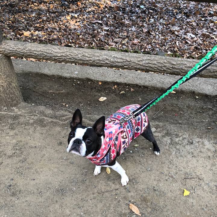 3b4156f7 677d 4305 8244 eb892d7aa54d 1606556279175