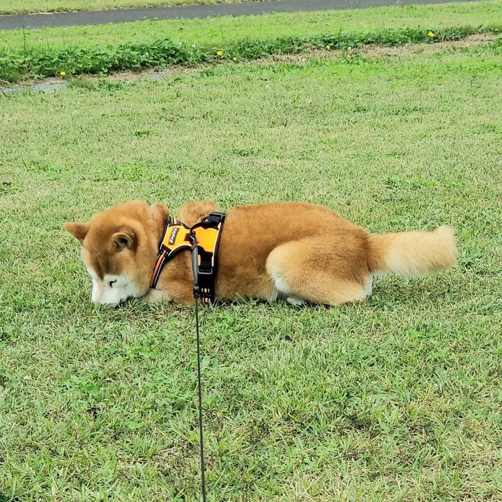 3b4176b0 1bac 4c6d 99fb 84dcc270f5ce 1602564738545