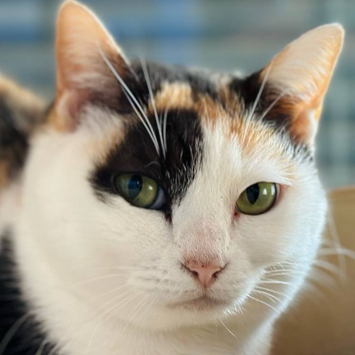 3b419a9d ac96 44ae a651 4f94212aeab8 1703903304635