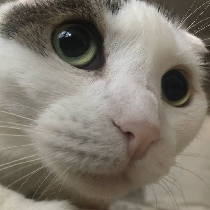 3b41afca 3d25 4880 bdb3 99178a9177ca 1597614160071