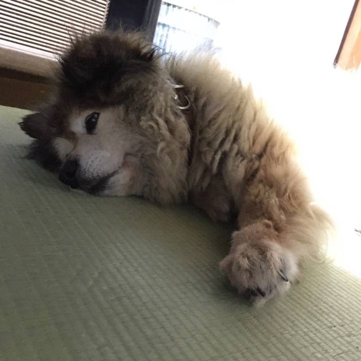 3b41f30b 8acc 4652 b019 f67a4e919516 1581509116470