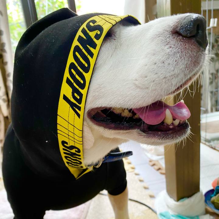 3b4201d5 7121 4e08 8329 c89bbc50a6b2 1601780831013