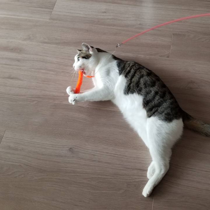 3b4211da 6fb6 4722 9ef3 d74aea61201e 1552695287974