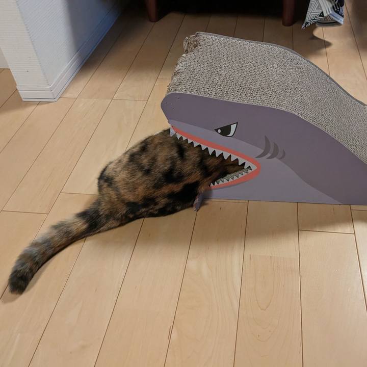 3b425a71 99bd 4fd1 81fd 5fc43448882e 1672722097410