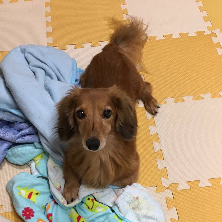 3b427e0d f56b 4096 ab17 5c4629d39f74 1599479320558