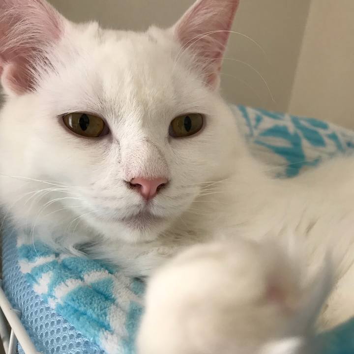 3b42c00d 9ab8 4fb0 b659 3a3059949b54 1523591619191