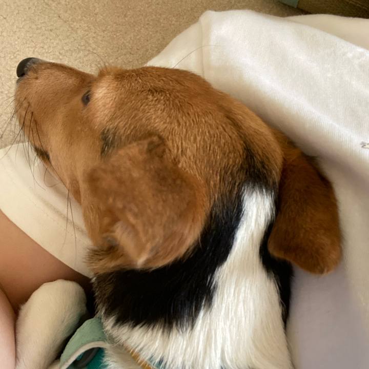 3b42d39e 8729 4db4 8903 c93578c95c5f 1755304637646