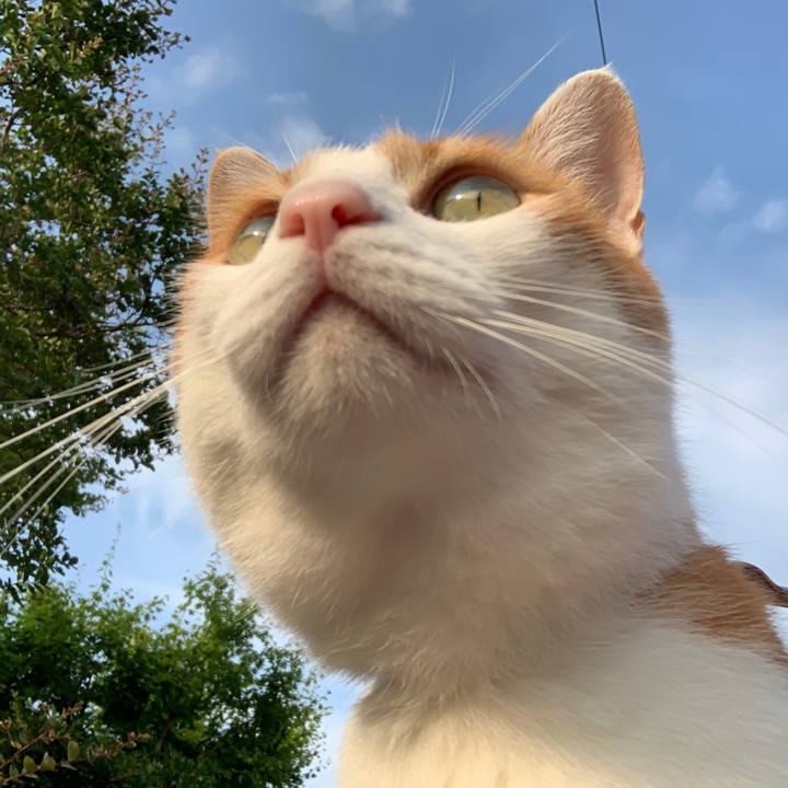 3b42da7c 6ed3 427c b155 10022f629b4f 1566373168426