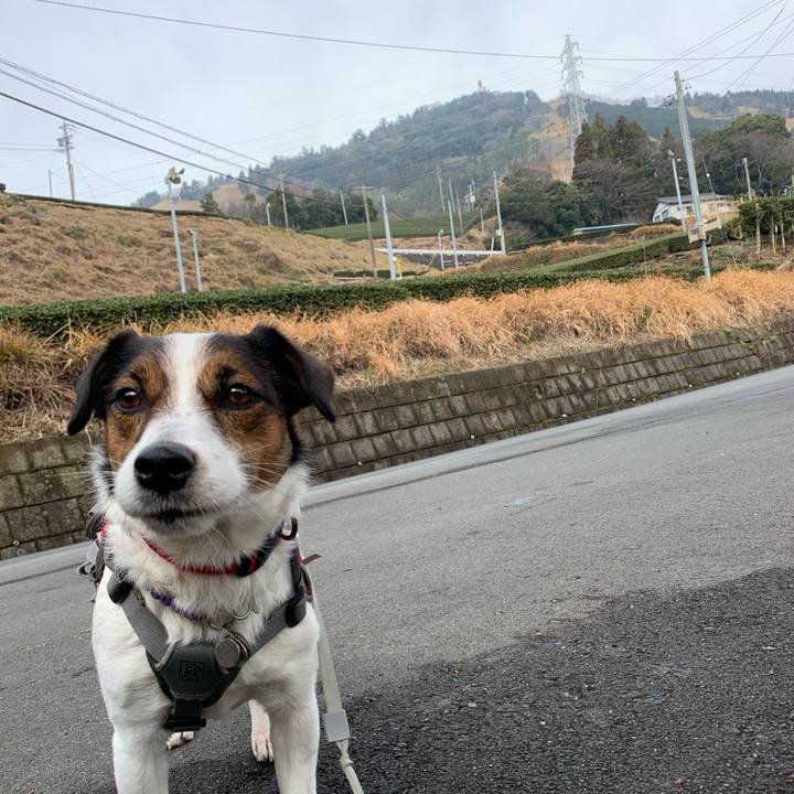 3b430257 08bb 4caf 9234 18aa81ae61f9 1581750332940