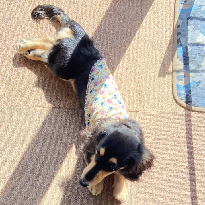 3b430713 9fe2 4666 a483 b6c3cfd81a4b 1676111192390