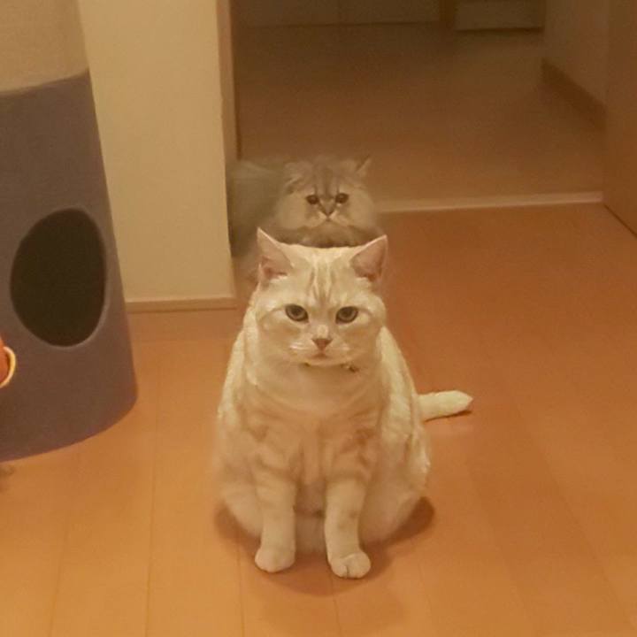 3b4315a2 0d61 4f84 a449 d92a0495e025 1588204259074