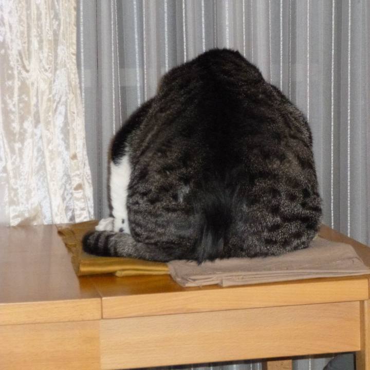 3b431cb1 3d49 47bd be7b bee3b60428d7 1557318661658