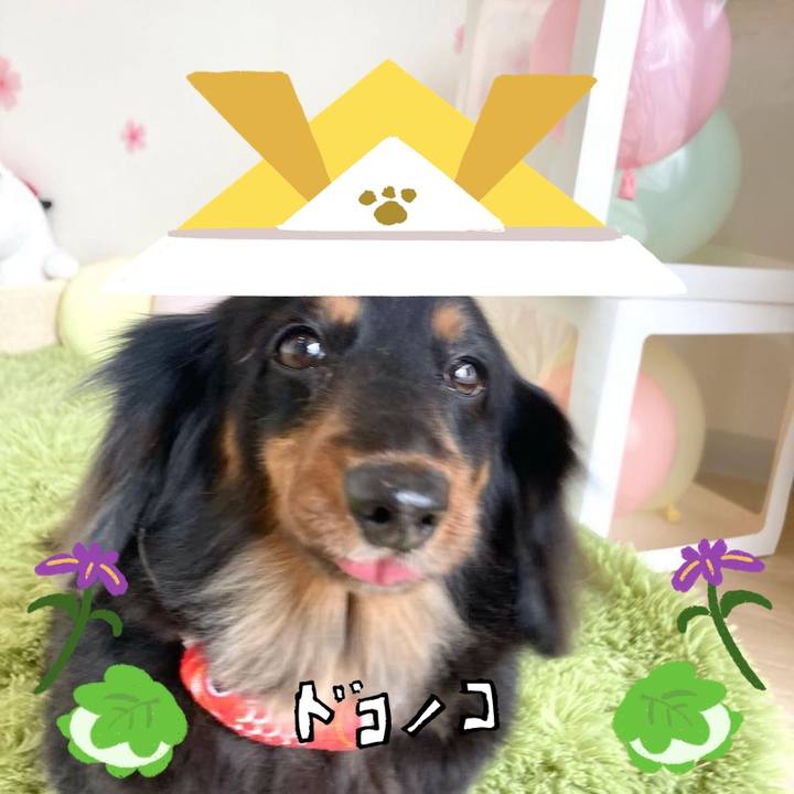 3b432f97 e9fb 474a a192 2833080f77aa 1715091892698