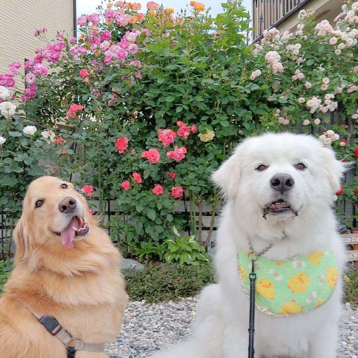 3b434f2d ec34 4f84 8d16 fcabc3817f2d 1715513223910